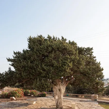 Aurea Blu 14 Relax Enjoy Dream 아파트