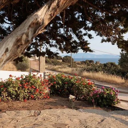 아파트 Aurea Blu 14 Relax Enjoy Dream *