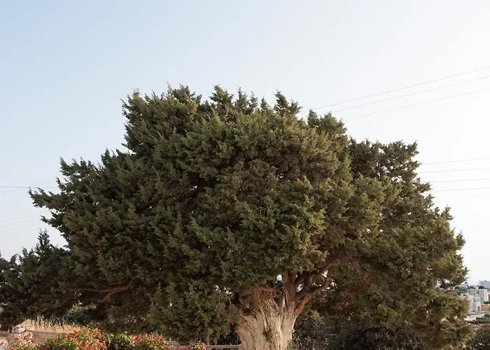 Aurea Blu 14 Relax Enjoy Dream Daire